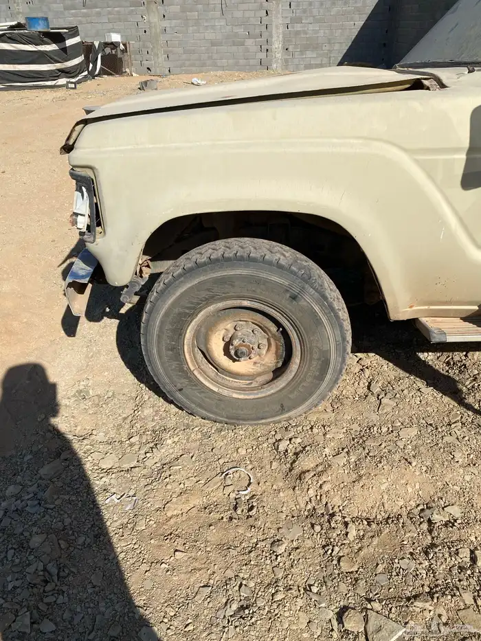 جيب صلون تشليح 7