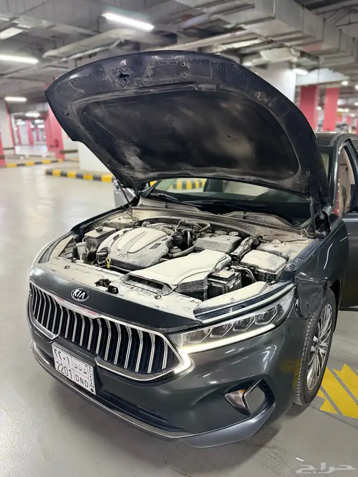 كادينزا 2021 10