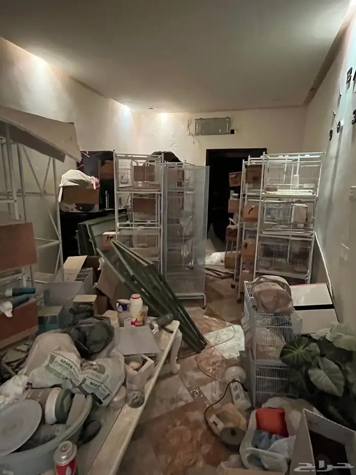 للبيع أقفاص طيور 0