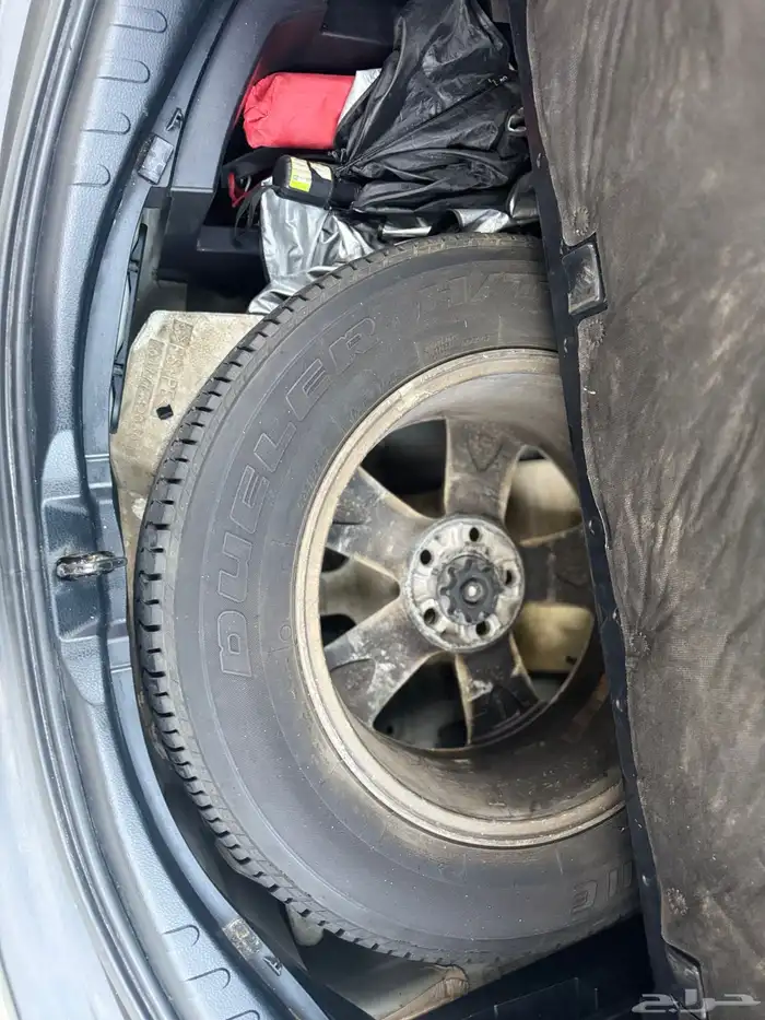 رافور فل كامل جلد للبيع 16