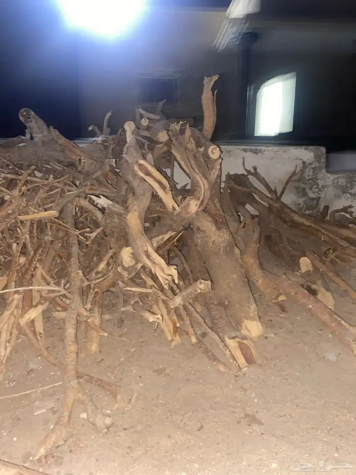 حملت جيب صالون للبيع 6