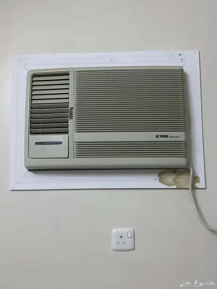 مقاس 24 كمبرشر كبير أمريكي 2