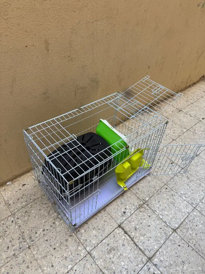 مستلزمات قطط 0