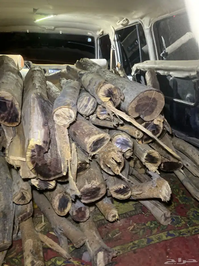 حملت جيب صالون للبيع 2