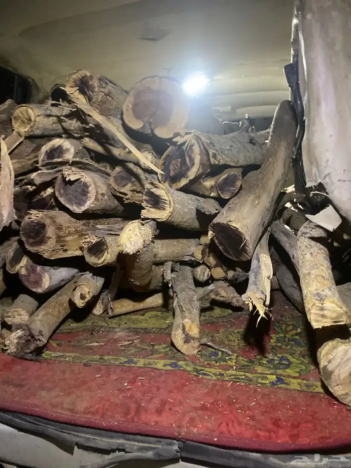 حملت جيب صالون للبيع 1