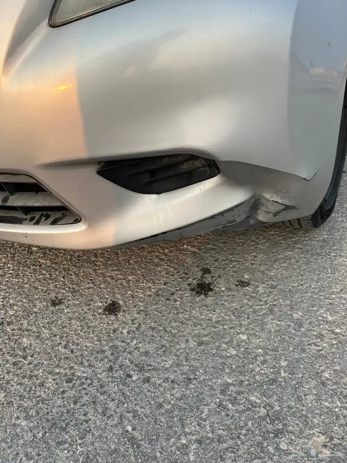 صني ستاندر 2014 4