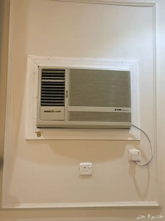 مقاس 24 كمبرشر كبير أمريكي 3