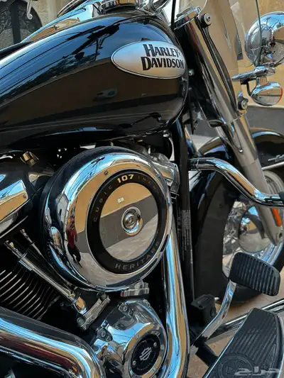 للبيع هارلي هيريتج index