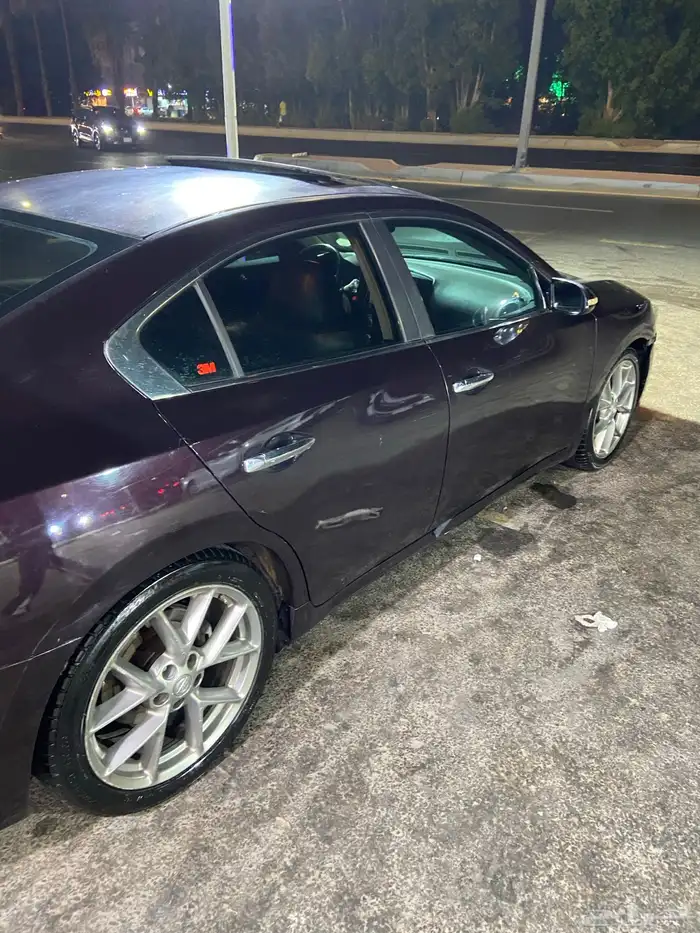 مكسيما 2010 فل كامل 9