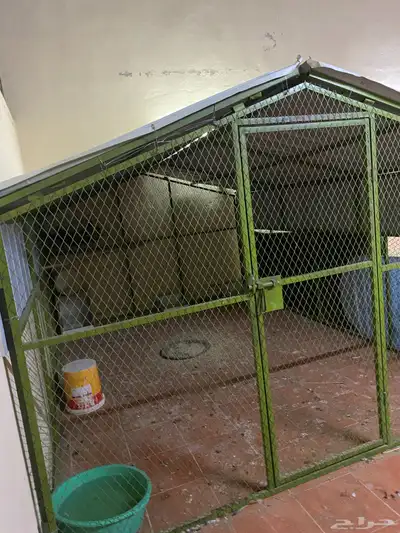 قفص حمام او دجاج مستعمل نضيف index