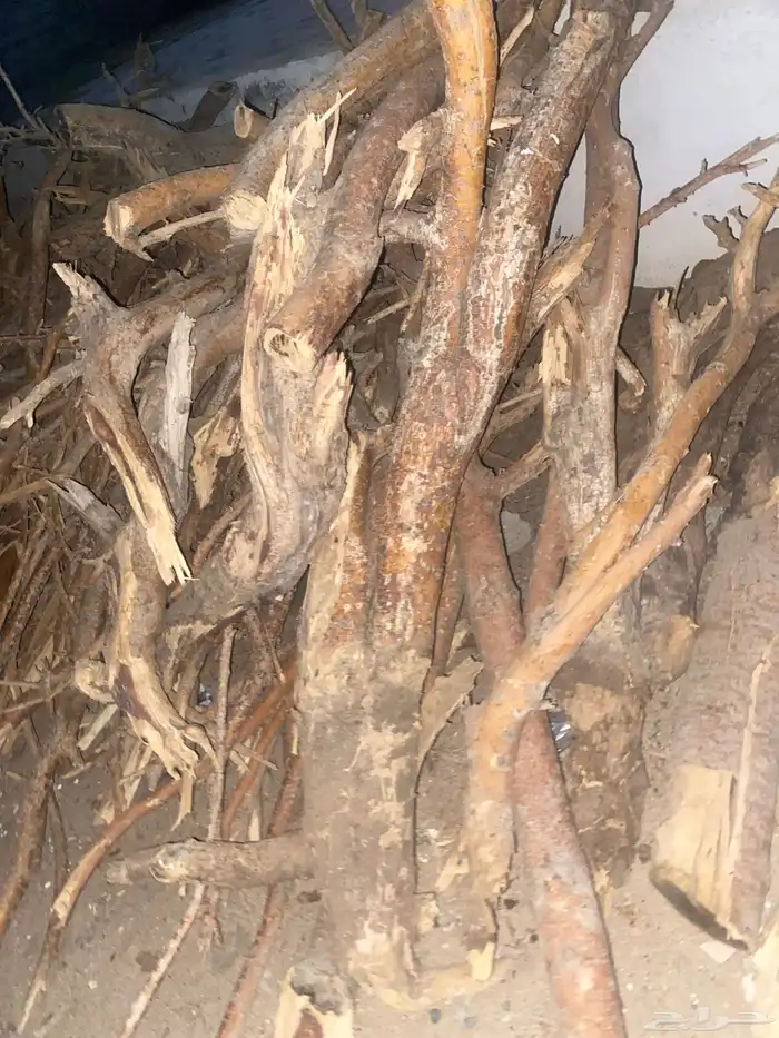 حملت جيب صالون للبيع 7