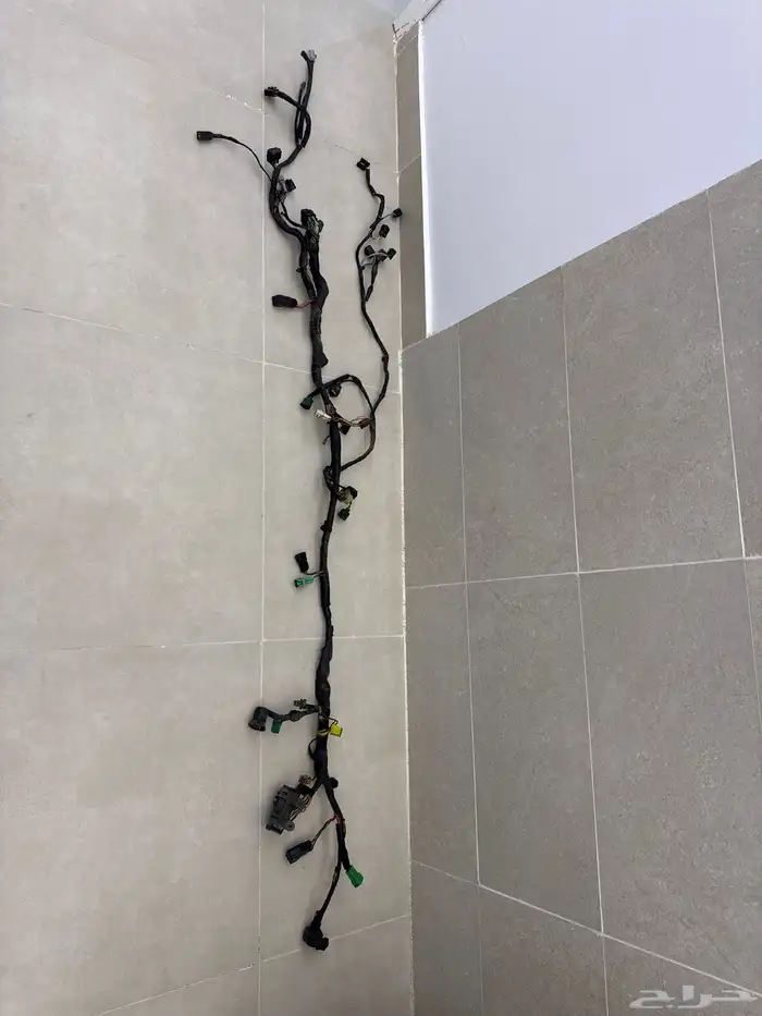 ضفيرة هايبوزا 2006 0