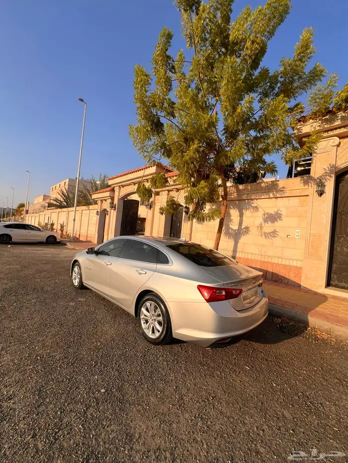 ماليبو LS 2020 فضي للبيع 13