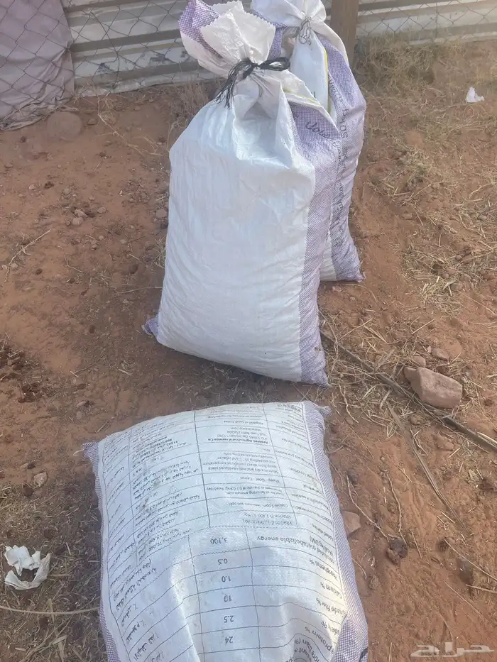 تمر علف ناشف 1