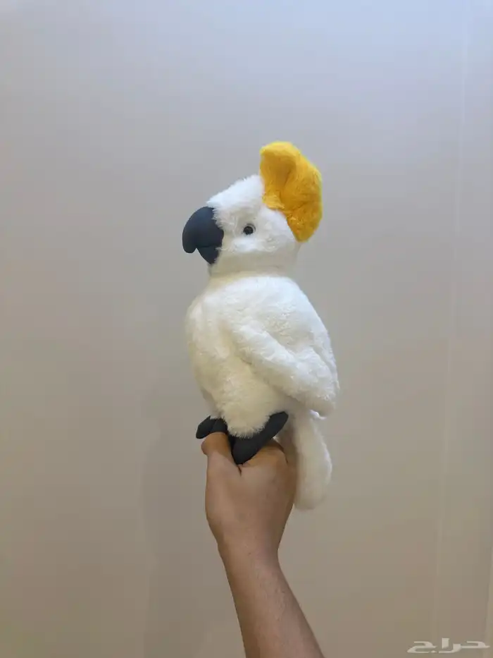 فرخ كوكاتو 0