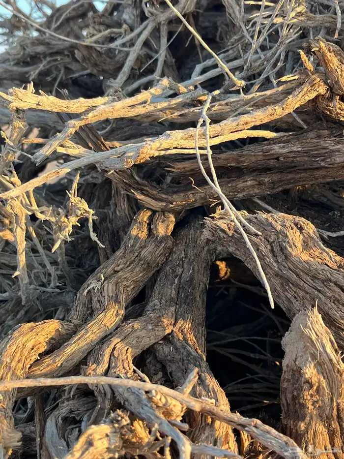 للبيع صندوق غمارتين حمل لتنده 3