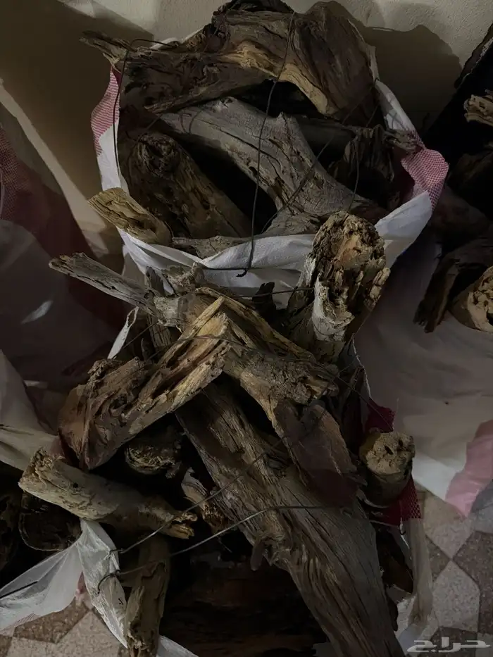 مستورد من المدينه 0