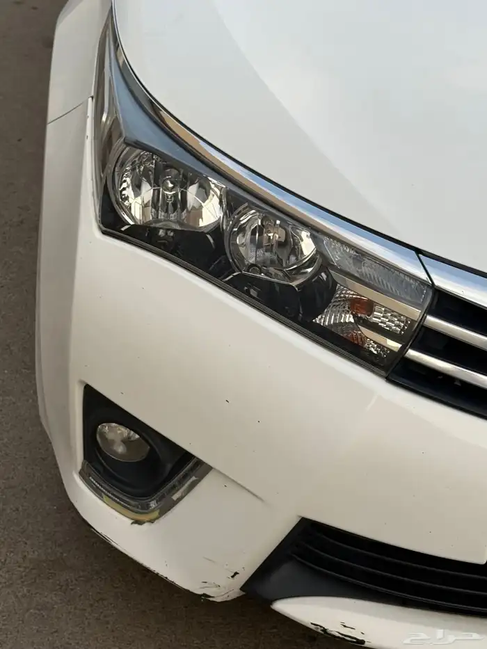 كورلا نص فل 41