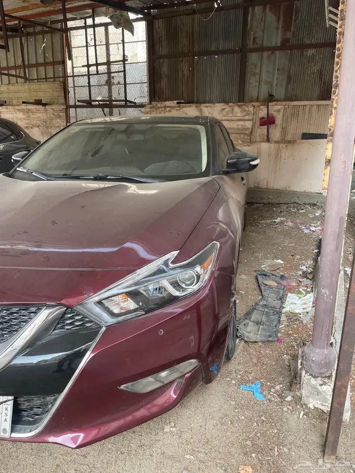 مكسيما16فل 0