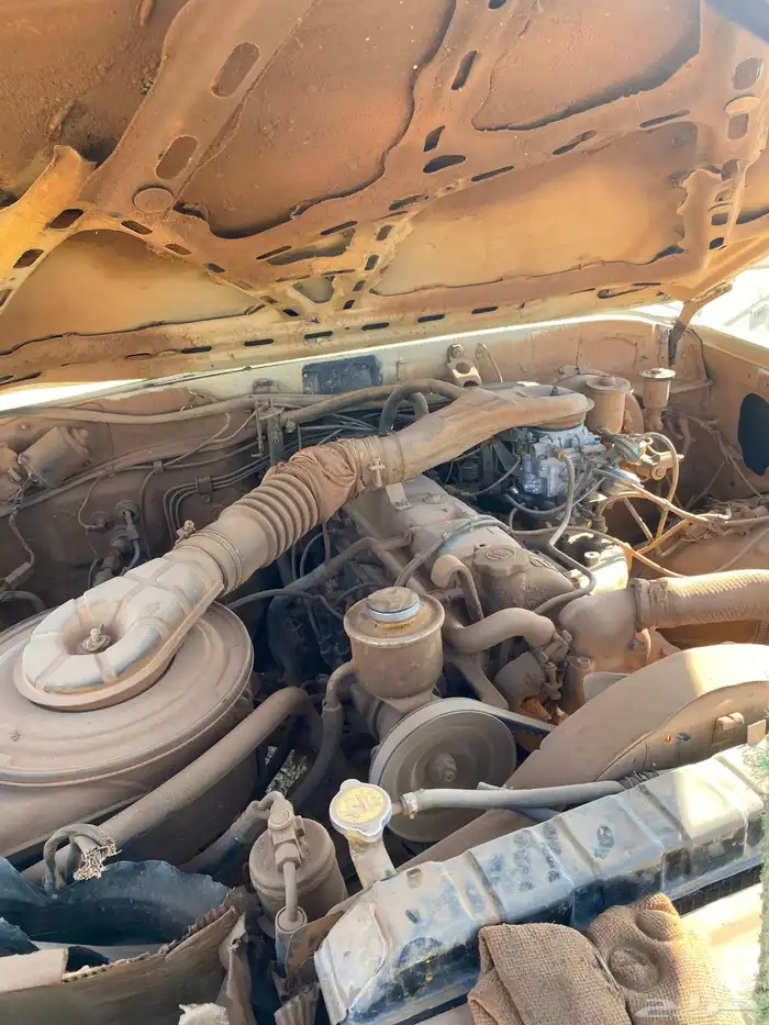 جيب صلون تشليح 9