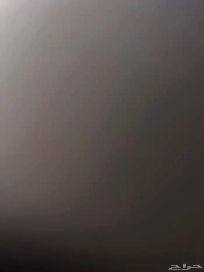 مطلوب ارنب للبيع في بيشه 0