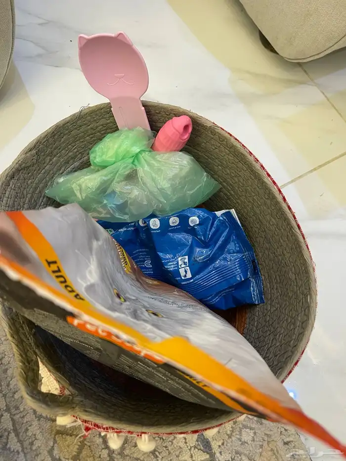 قطط للبيع صحتها سليمه 6