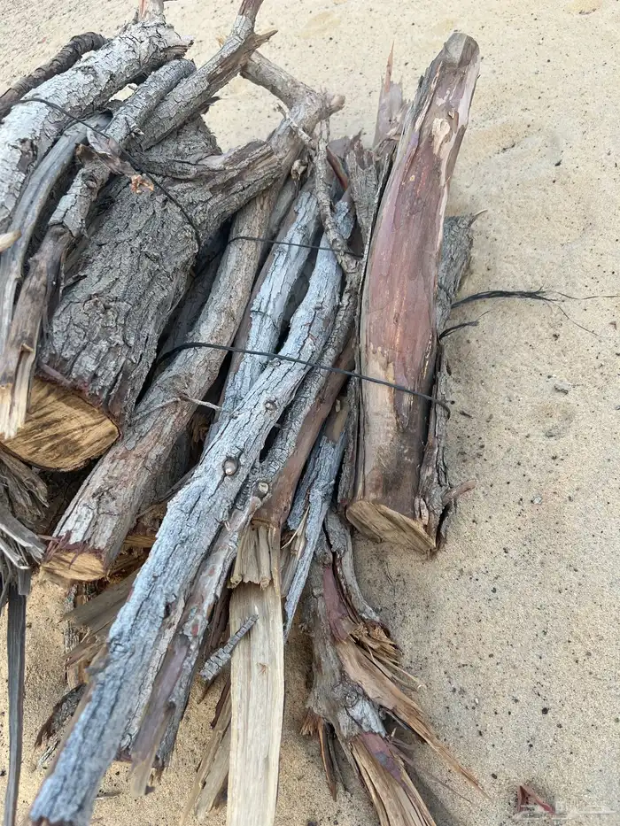 حطب يابس الموقع الاحساء درجه أولى 2