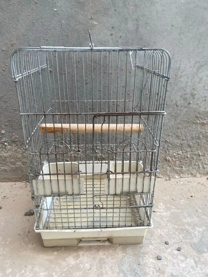 قفص درة او كاسو 0