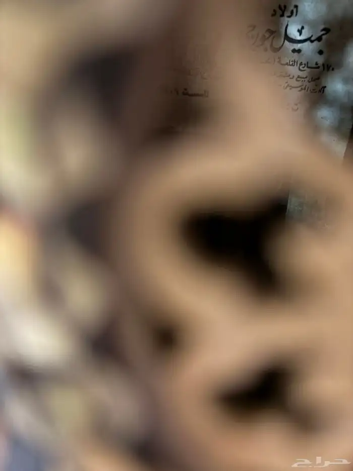 عود موسيقي وكمنجه لا البيع 18