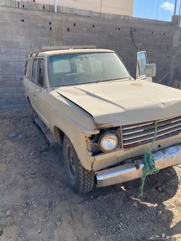 جيب صلون تشليح 14