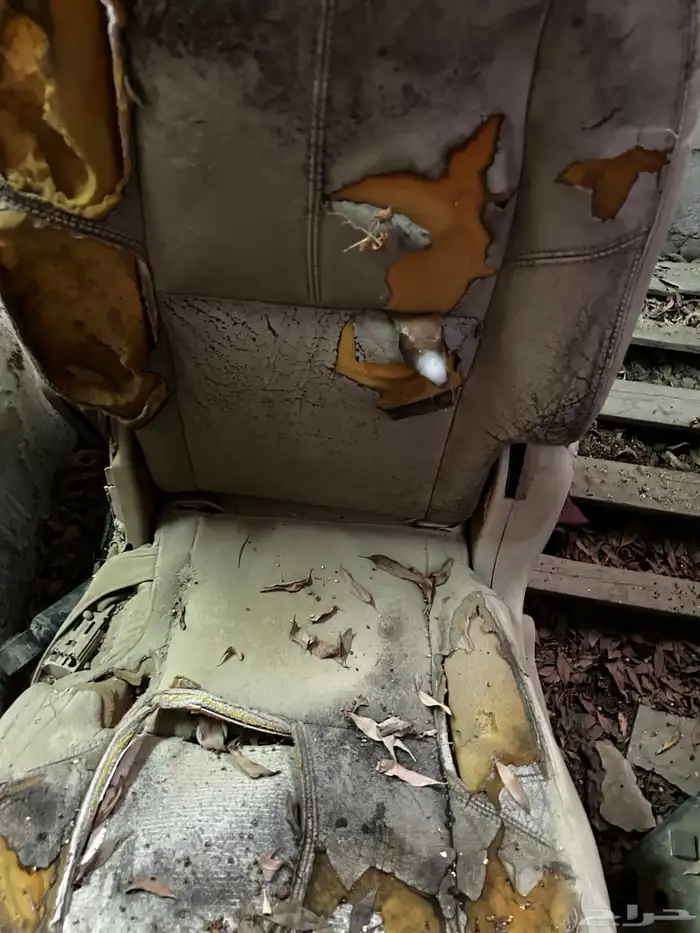 كراسي دينالي 2008 1