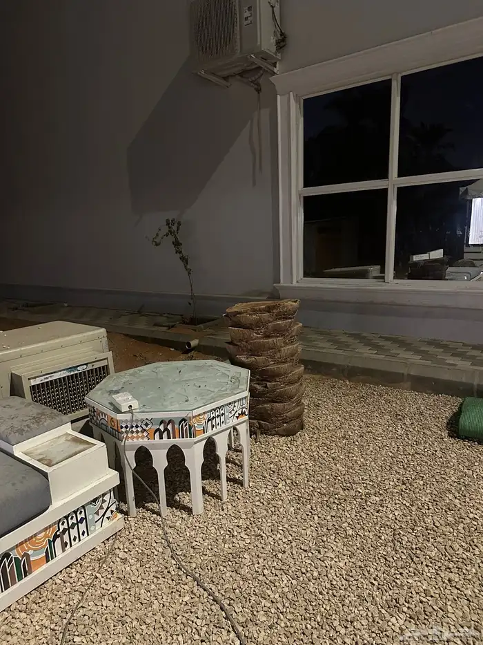 جذوع نخل زينه 1