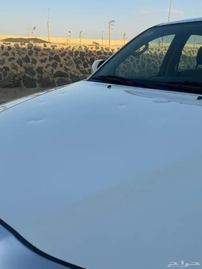 فورشنر 2015 تماتيك 2