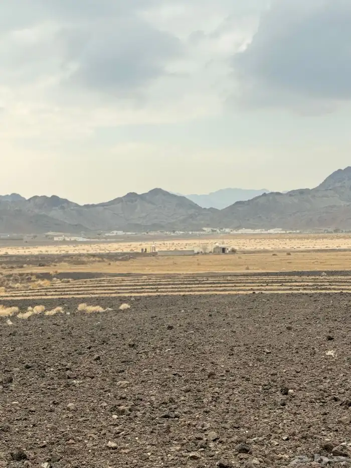 مزرعه قديمه صالحه للزراعه وتصلح موقع استراحه 4