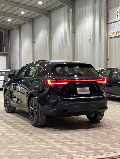 لكزس Nx AA AH سعودي 25 كاش اقساط index