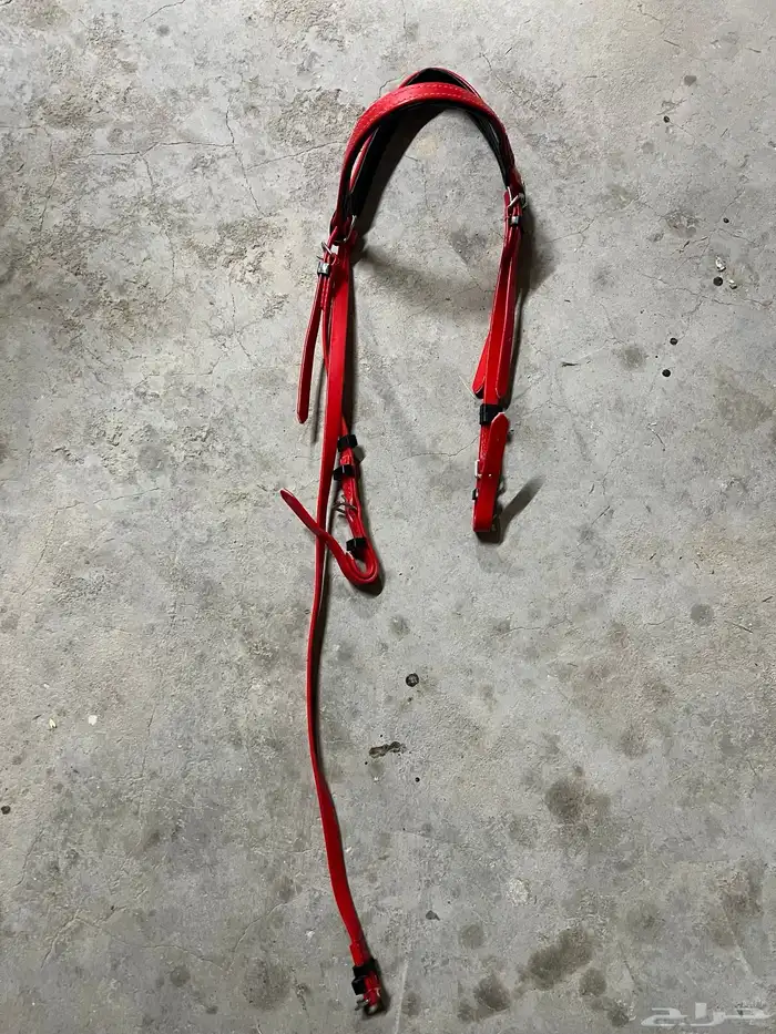رأسية خيل لجام 1