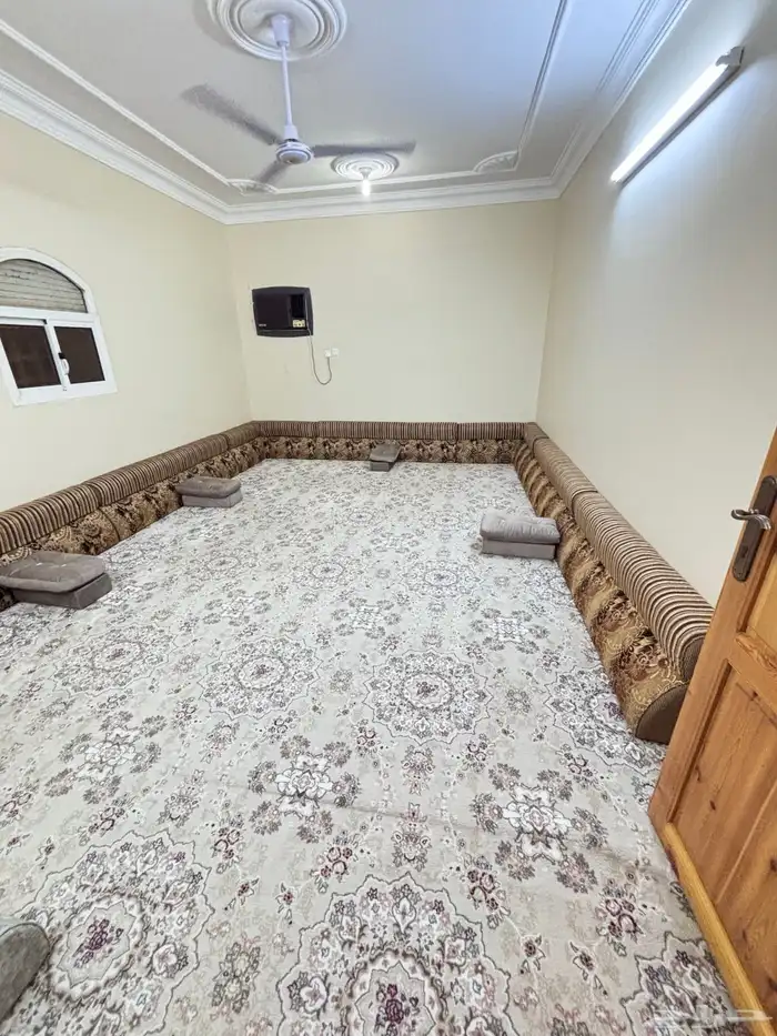 مساند ظهر مساحة 4 في 6 0