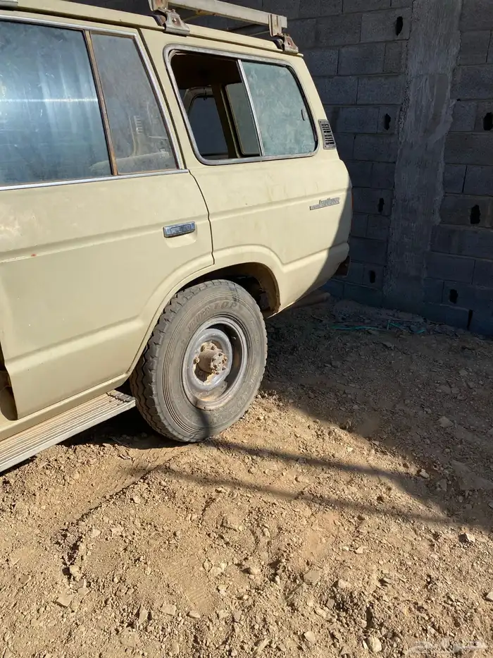 جيب صلون تشليح 8