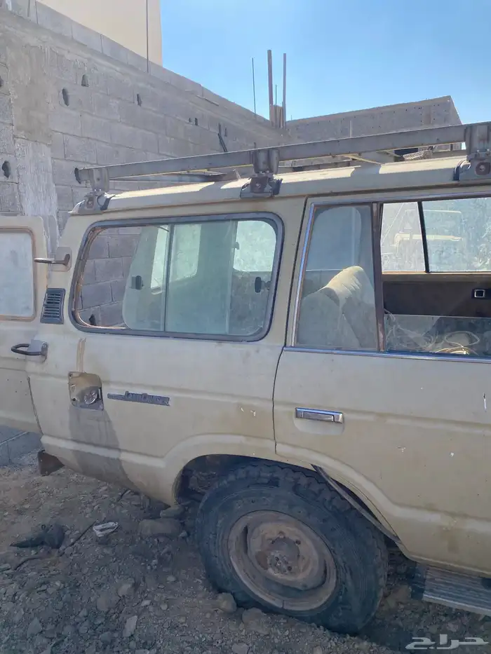 جيب صلون تشليح 13