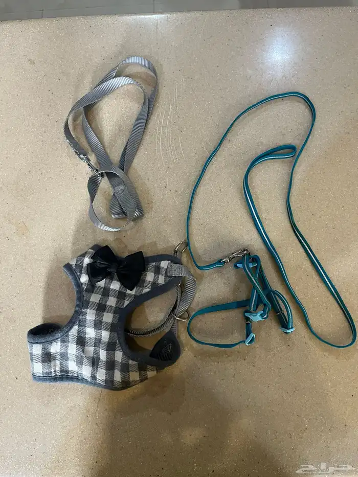 اغراض للقطط 9