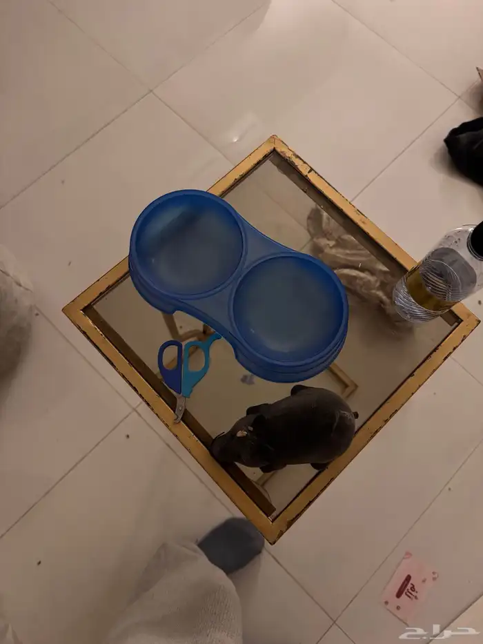 مستلزمات قطط 5