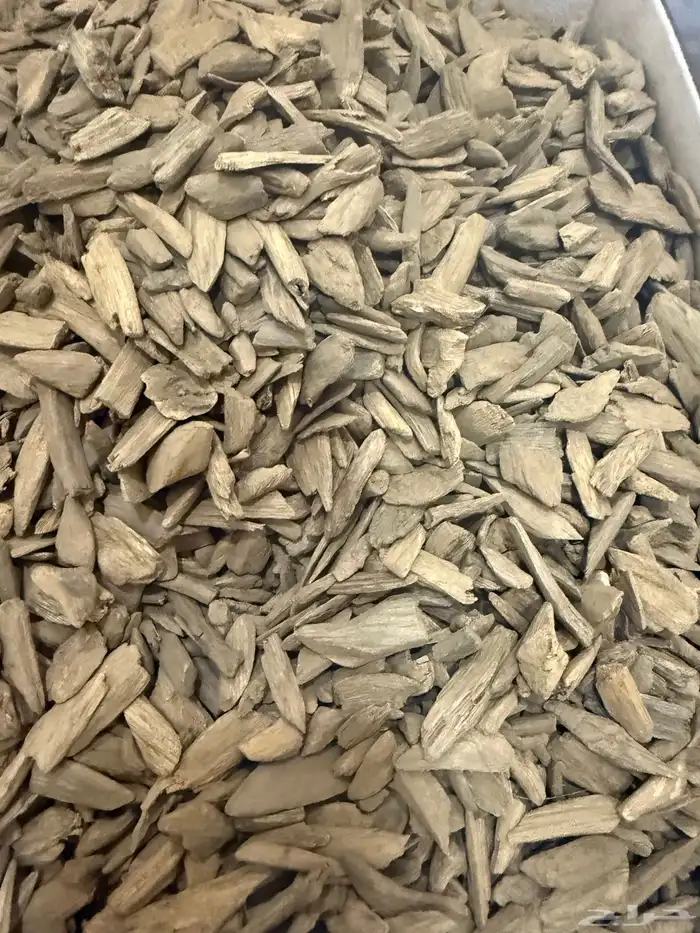 دقة عود مروكي آصقون طبيعي 5