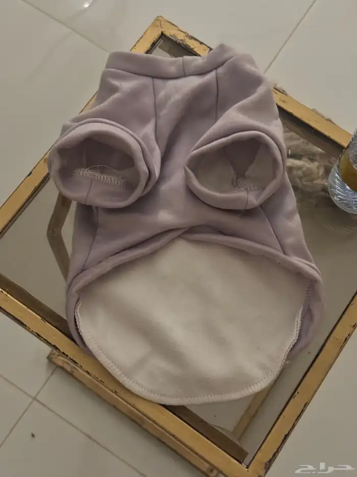 مستلزمات قطط 1