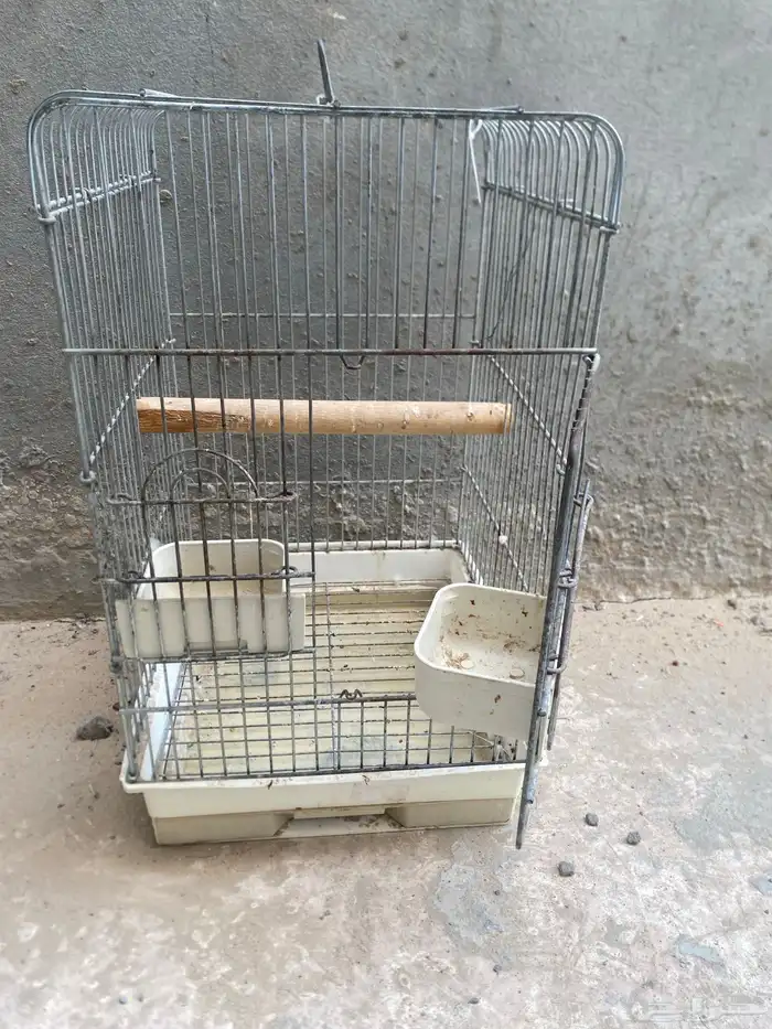 قفص درة او كاسو 1