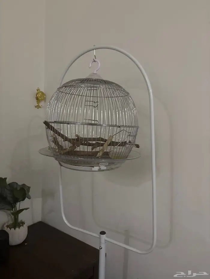 قفص مع قاعده 1