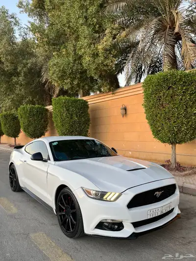 للبيع موستنج 2015 ايكوبوست اصدار 50 عام index