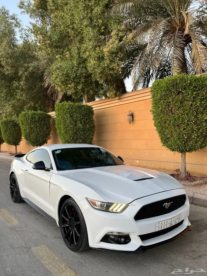 للبيع موستنج 2015 ايكوبوست اصدار 50 عام 4