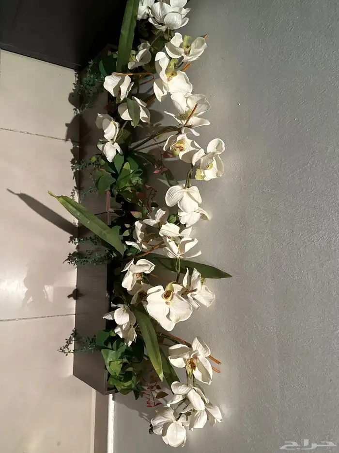 2 مراكن زرع صناعي للبيع اشتريت الحبة ب120 2