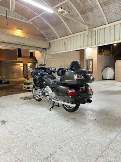 قولد وينق 2010 index