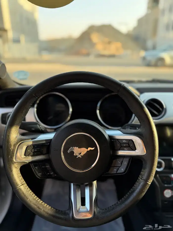 فورد موستنج ايكوبوست 2017 11